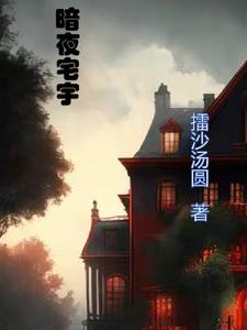 暗夜霸击盗